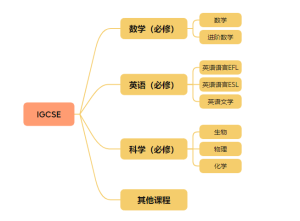 IGCSE选对课暑期冲A*！数理化生经济全科覆盖！