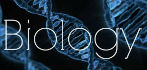 如何从0自学IGCSE生物？